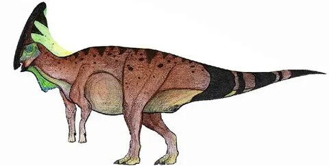 Charonosaurus Pictures & Facts - The Dinosaur Database