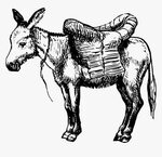 Donkey Drawing Vector Graphics Cartoon Clip Art - Donkey Dra