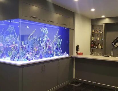 Aquarium King, fish tank shop, Moscow, Novopeschanaya Street