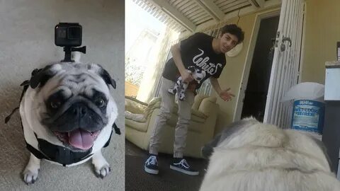 A DAY IN THE LIFE OF BOSLEY!! (GoPro Point of View) FaZe Rug
