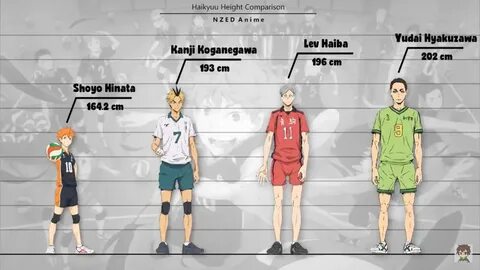 Haikyuu Height Difference - Draw-level
