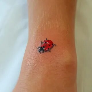 Cool Ladybug Tattoos Best Tattoo Ideas Gallery Tatuajes del 