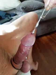 Dick cut off porn sex - Best adult videos and photos