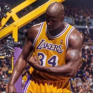 Shaq Funny Lakers Related Keywords & Suggestions - Shaq Funn