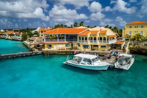 Buddy Dive Resort World Dive Adventures