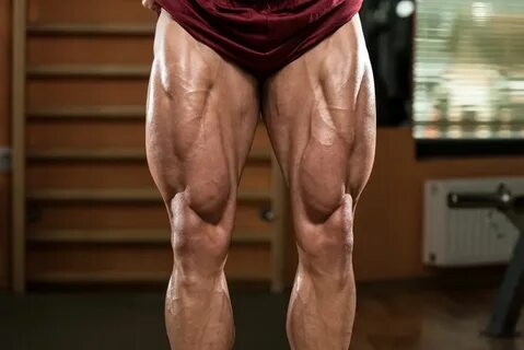 leg muscles - Google Search Glutes workout, Leg workouts for