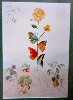 Salvador Dali - Rose with Butterflies Dali art, Salvador dal