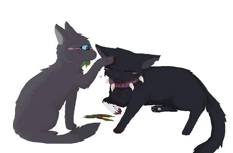 Scourge and Cinderpelt Warrior cats scourge, Warrior cats, W