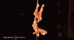 Мастерство танца на пилоне (12 гифок) " Триникси