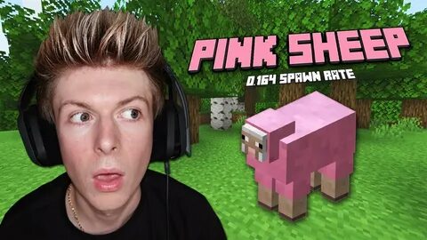 I Found the RARE Pink Sheep in Minecraft! - Episode 31 - You