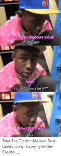 🇲 🇽 25+ Best Memes About Tyler the Creator Memes Tyler the C
