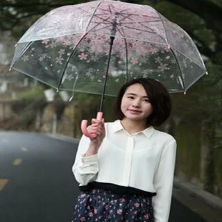 Japanese Umbrella Types 🌂 ☔ Japan Amino