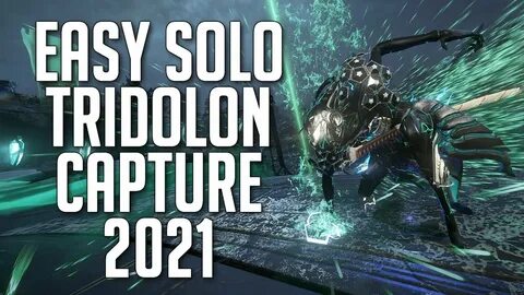 THE EASIEST WAY TO DO SOLO 2-3 TRIDOLON CAPTURE PER NIGHT BE