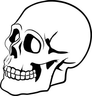Skulls PNG Image Skeleton drawings, Silhouette clip art, Sku