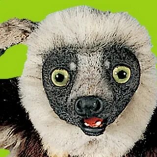 Zoboomafoo The Clown - YouTube