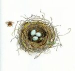 Bird In A Nest Drawing at GetDrawings Free download