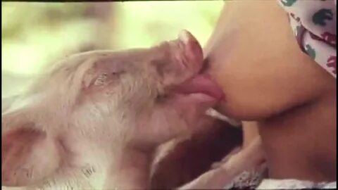 Pigs licking asian women porn