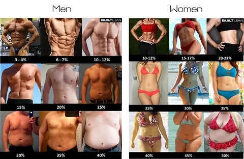 Man boobs lost at what body fat percent