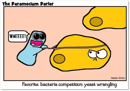Pin by Barbara Hunt on Yeast Science humor, Biology, Humor