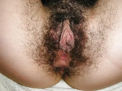 Hairy Mexican Pussy - Photo #5