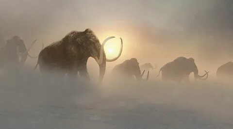 Huang Frank - Ice Age, Mammoths Prehistórico, Animales de la
