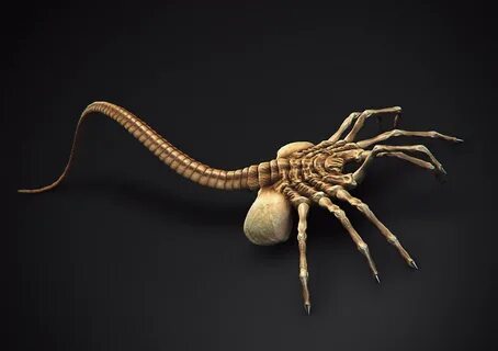 Elizabeth Shaw and the Facehugger - Alien: Covenant Forum