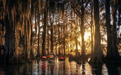 Скачать обои United States, Louisiana, Parish Governing Authority District ...