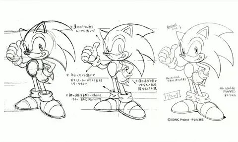 Sonic Model Sheet Related Keywords & Suggestions - Sonic Mod