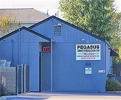 Pegasus Adult Media Center - Sex Shop - Raleigh (919) 785-96