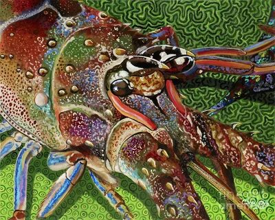 lobster season Re0027 Painting by Carey Chen Fine Art Americ