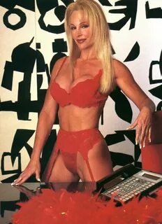 Debra - A Day at the Office - Former WWE Diva... Debra Photo