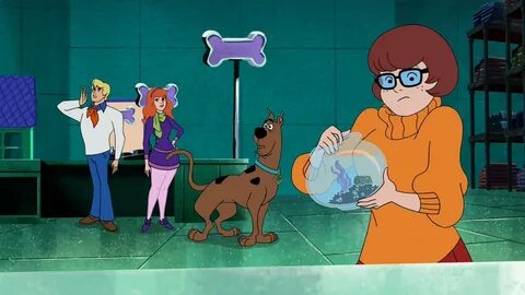 █ ▄ █ ▄ █ █ █ █ █ █ █ █ █ ▀ ▀ █ ▀ ▀ on Twitter: "VELMA: Or y