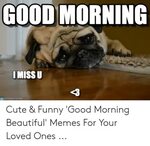 🐣 25+ Best Memes About Cute Funny Good Morning Cute Funny Go