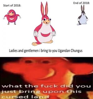 Ugandan Chungus Ugandan Knuckles Know Your Meme