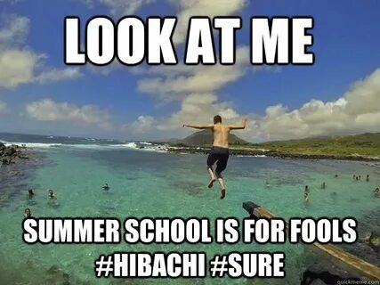 Look at Me Summer School is for Fools #hibachi #Sure - Misc 