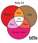 Rule 34 Porn Bacon Cats the Internet Porn Porn Dance Craze b