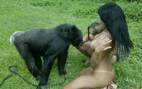 Animal monkey porn We love Animal monkey and girl sex free H