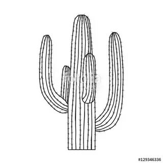 Cactus Outline Vector at Vectorified.com Collection of Cactu