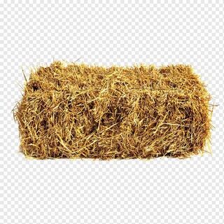 Straw bale Hay Sheep Wheat, domba, hewan, sereal, stabil png