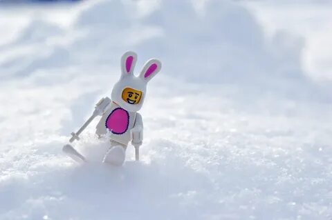 theSurlyBiker Lego animals, Lego, Lego winter