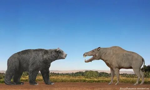 Short-Faced Bear vs Daeodon Domain Of The Bears