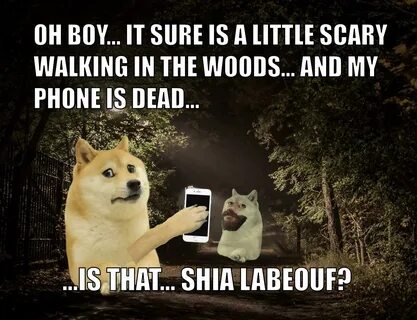 Le actual cannibal Shia LaBeouf has arrived /r/dogelore Iron