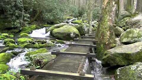 Roaring Fork Motor Nature Trail, Great Smoky Mountains Natio