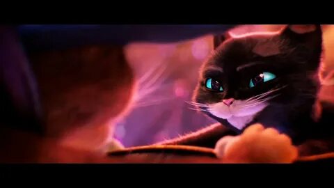 Until I found you ( Puss In Boots:The last wish AMV ) lyrics Stephen Sanche...