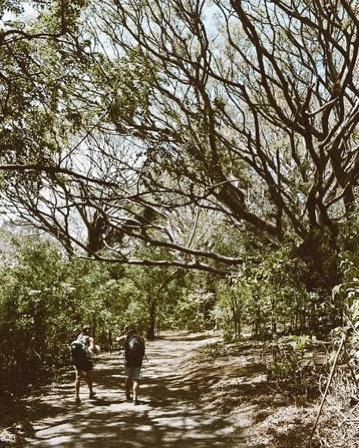 Photo by Twin Springs in Ometepe Nicaragua. 