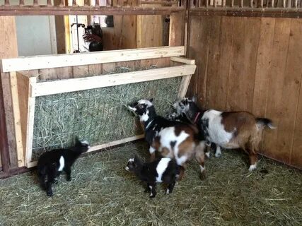 Goat Hay Feeder Goat hay feeder, Goat farming, Goat house