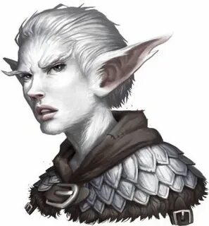 Snow elf Character portraits, Fantasy illustration, Fantasy 