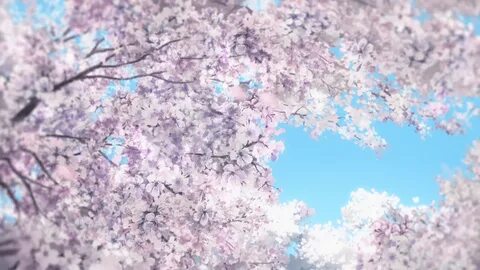 Blossoms anime GIF - Find on GIFER