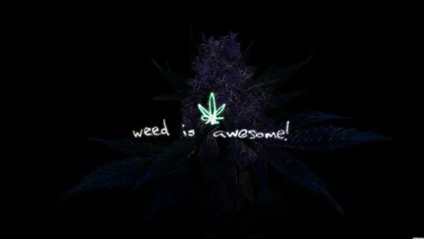 Weed Iphone Wallpapers posted by Sarah Peltier