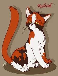 Redtail by Yolly-anda on deviantART Warrior cats, Warrior ca